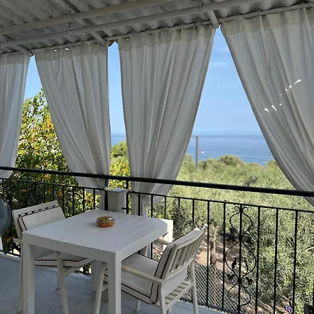 Miky's Bay Forza d'Agro