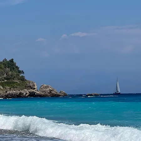 Miky's Bay * Forza d'Agro